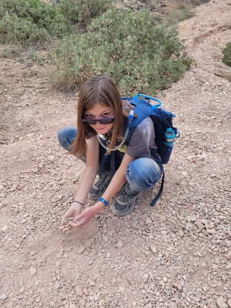 Carolyn